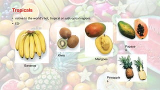 Tropicals
• native to the world’s hot, tropical or subtropical regions.
• EG-
Bananas
Kiwis
Mangoes
Papaya
s
Pineapple
s
 