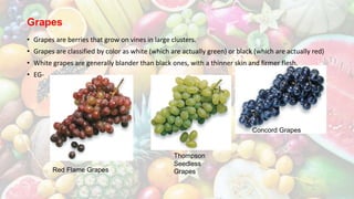 Grapes
• Grapes are berries that grow on vines in large clusters.
• Grapes are classified by color as white (which are actually green) or black (which are actually red)
• White grapes are generally blander than black ones, with a thinner skin and firmer flesh.
• EG-
Red Flame Grapes
Concord Grapes
Thompson
Seedless
Grapes
 