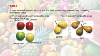 Pomes
• Pomes are tree fruits with thin skin and firm flesh surrounding a central core containing
many small seeds
• APPLES grow on trees in temperate zones PEARS grown in temperate areas
throughout the world.
• EG- EG-
Golden DeliciousGranny Smith
Red DeliciousRome
Bosc
Bartlett
 