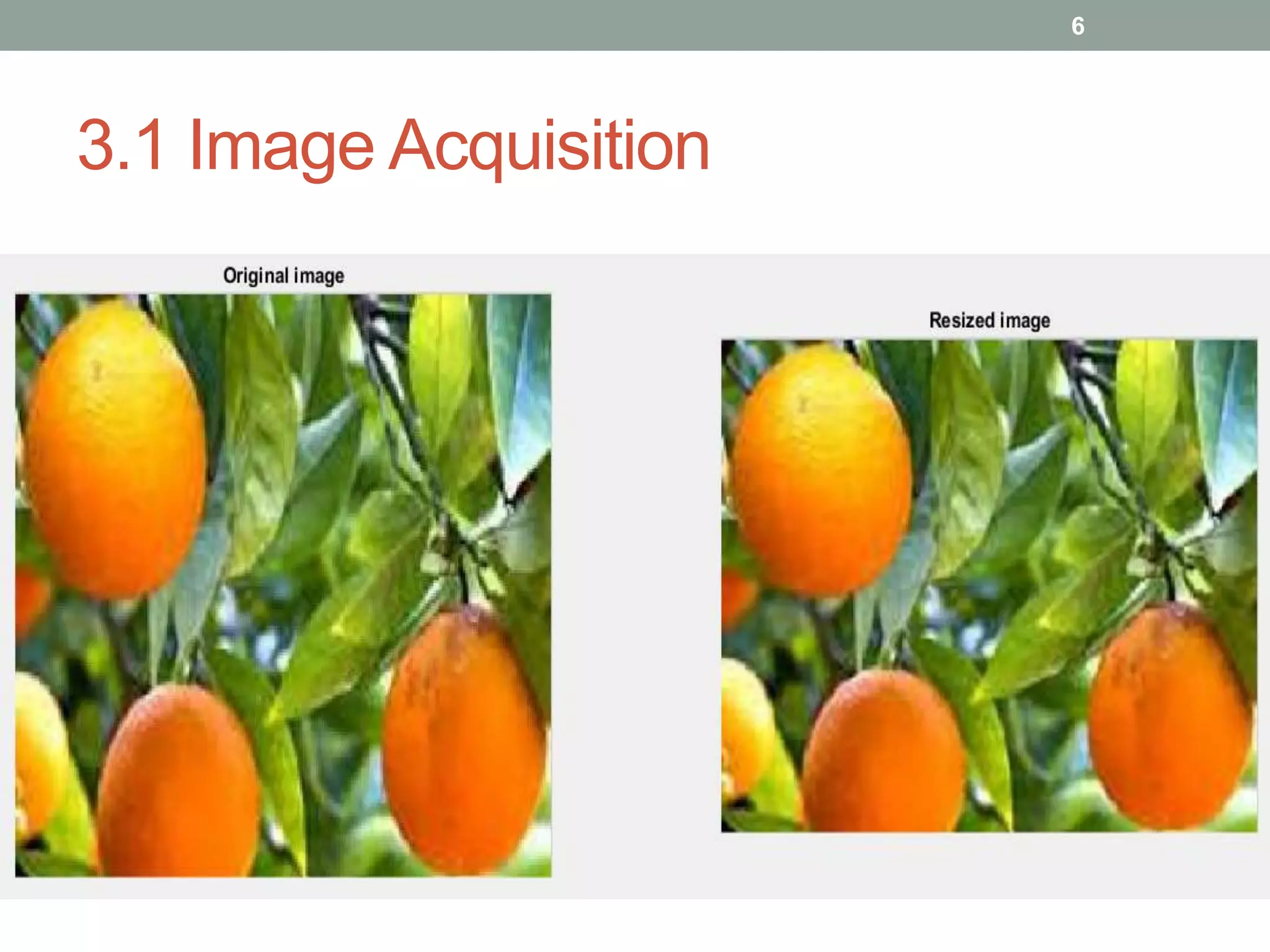 3.1 Image Acquisition
6
 