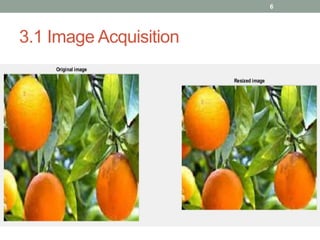 3.1 Image Acquisition
6
 