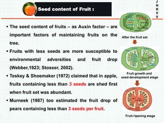 Seed content of Fruit :
J
N
K
V
V
 The seed content of fruits – as Auxin factor – are
important factors of maintaining fruits on the
tree.
 Fruits with less seeds are more susceptible to
environmental adversities and fruit drop
(Webber,1923; Stosser, 2002).
 Teskey & Shoemaker (1972) claimed that in apple,
fruits containing less than 3 seeds are shed first
when fruit set was abundant.
 Murneek (1987) too estimated the fruit drop of
pears containing less than 3 seeds per fruit.
After the fruit set
Fruit growth and
seed development stage
Fruit ripening stage
 