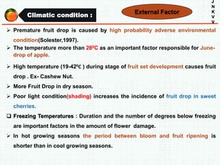 Climatic condition :
J
N
K
V
V
 Premature fruit drop is caused by high probability adverse environmental
condition(Solester,1997).
 The temperature more than 280C as an important factor responsible for June-
drop of apple.
 High temperature (19-420C ) during stage of fruit set development causes fruit
drop . Ex- Cashew Nut.
 More Fruit Drop in dry season.
 Poor light condition(shading) increases the incidence of fruit drop in sweet
cherries.
 Freezing Temperatures : Duration and the number of degrees below freezing
are important factors in the amount of flower damage.
 In hot growing seasons the period between bloom and fruit ripening is
shorter than in cool growing seasons.
External Factor
 