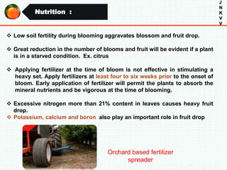 Nutrition :
J
N
K
V
V
 Low soil fertility during blooming aggravates blossom and fruit drop.
 Great reduction in the number of blooms and fruit will be evident if a plant
is in a starved condition. Ex. citrus
 Applying fertilizer at the time of bloom is not effective in stimulating a
heavy set. Apply fertilizers at least four to six weeks prior to the onset of
bloom. Early application of fertilizer will permit the plants to absorb the
mineral nutrients and be vigorous at the time of blooming.
 Excessive nitrogen more than 21% content in leaves causes heavy fruit
drop.
 Potassium, calcium and boron also play an important role in fruit drop.
Orchard based fertilizer
spreader
 