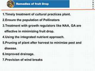 Remedies of fruit Drop
J
N
K
V
V
1.Timely treatment of cultural practices plant.
2.Ensure the population of Pollinators
3.Treatment with growth regulators like NAA, GA are
effective in minimizing fruit drop.
4.Using the integrated nutrient approach.
5.Pruning of plant after harvest to minimize pest and
disease.
6.Improved drainage.
7.Provision of wind breaks
 