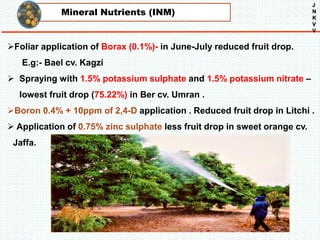 Mineral Nutrients (INM)
J
N
K
V
V
Foliar application of Borax (0.1%)- in June-July reduced fruit drop.
E.g:- Bael cv. Kagzi
 Spraying with 1.5% potassium sulphate and 1.5% potassium nitrate –
lowest fruit drop (75.22%) in Ber cv. Umran .
Boron 0.4% + 10ppm of 2,4-D application . Reduced fruit drop in Litchi .
 Application of 0.75% zinc sulphate less fruit drop in sweet orange cv.
Jaffa.
 