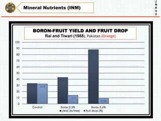 Mineral Nutrients (INM)
J
N
K
V
V
BORON-FRUIT YIELD AND FRUIT DROP
Rai and Tiwari (1988), Pakistan (Orange)
 