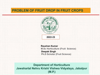 Raushan Kumar
M.Sc Horticulture (Fruit Science)
Department of Horticulture
Jawaharlal Nehru Krishi Vishwa Vidyalaya, Jabalpur
(M.P.)
PROBLEM OF FRUIT DROP IN FRUIT CROPS
2022-23
Deepak Singh
Ph.D Scholar (Fruit Science)
 