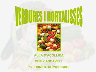 VERDURES I HORTALISSES AULA D’ACOLLIDA CEIP CASCAVELL 1r. TRIMESTRE 2008-2009 