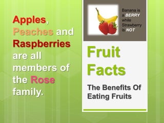 Banana is 
a BERRY 
while 
Strawberry 
is NOT 
Fruit 
Facts 
The Benefits Of 
Eating Fruits 
Apples, 
Peaches and 
Raspberries 
are all 
members of 
the Rose 
family. 
 