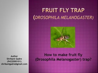 Author 
Shrikant Gadre 
(9422000101) 
shrikantgadre@gmail.com 
How to make fruit fly 
(Drosophila Melanogaster) trap? 
 