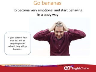 Fruit idioms | PPT