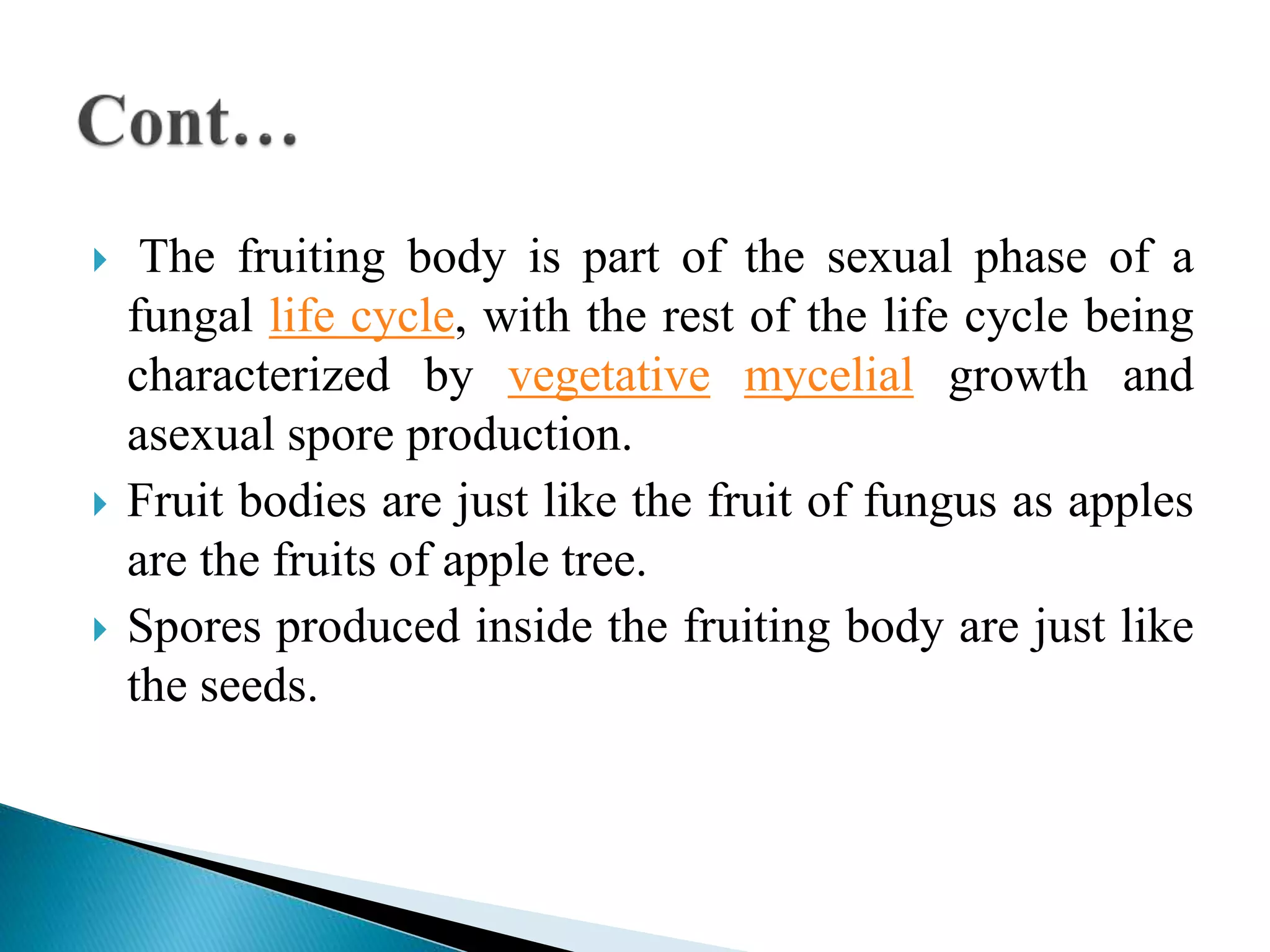 View of Fruiting bodies of Ascomycota | PPTX