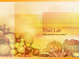 Fruit Lab
Then why do I see a turkey?
 