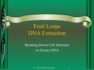 Fruit Loops
  DNA Extraction
Breaking Down Cell Structure
       to Extract DNA



     © T. Rosa & B.R. Shmaefsky   1
 
