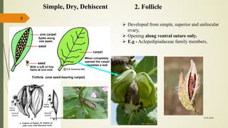 8
2. FollicleSimple, Dry, Dehiscent
 Developed from simple, superior and unilocular
ovary,
 Opening along ventral suture only.
 E.g - Aclepedipiadaceae family members,
15-03-2018kishan.gusai2008@gmail.com
 