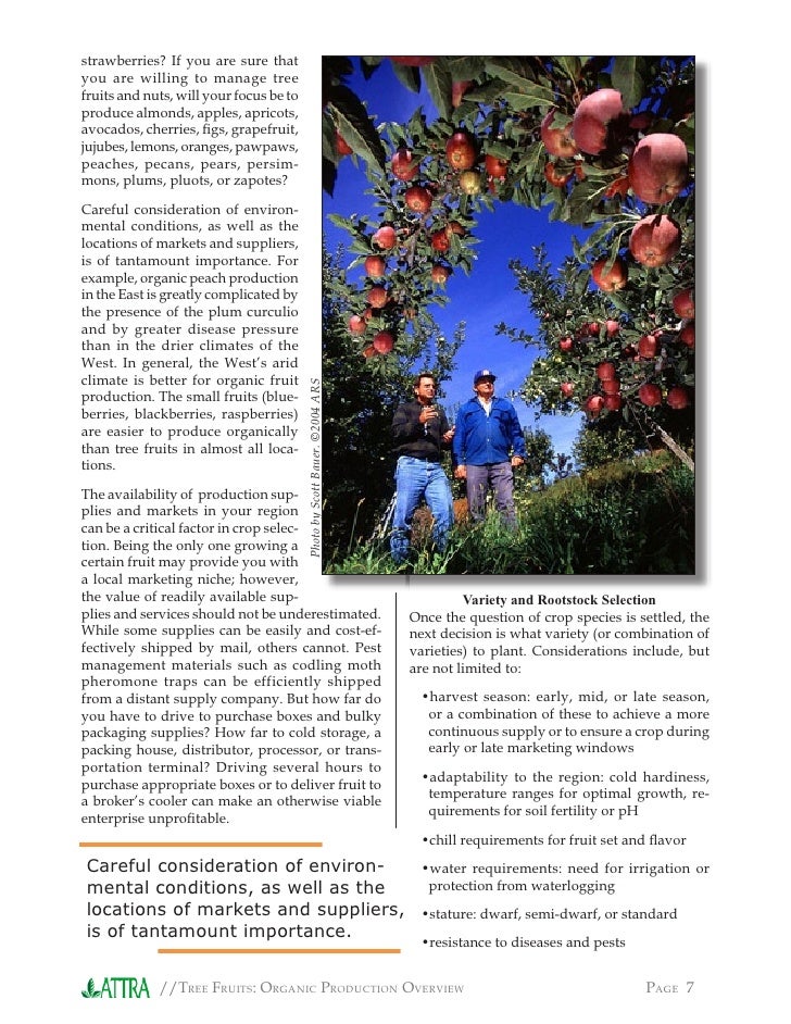 Tree Fruits Organic Production Overview