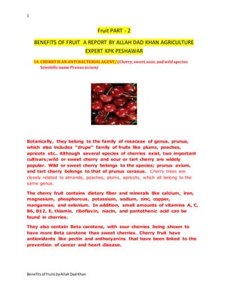 1
Benefitsof fruitsbyAllahDadKhan
Fruit PART - 2
BENEFITS OF FRUIT A REPORT BY ALLAH DAD KHAN AGRICULTURE
EXPERT KPK PESHAWAR
14. CHERRYIS AN ANTIBACTERIALAGENT/ (Cherry,sweet,sour,andwildspecies
ScientificnamePrunus avium)
Botanically, they belong to the family of rosaceae of genus, prunus,
which also includes “drupe” family of fruits like plums, peaches,
apricots etc.. Although several species of cherries exist, two important
cultivars;wild or sweet cherry and sour or tart cherry are widely
popular. Wild or sweet cherry belongs to the species; prunus avium,
and tart cherry belongs to that of prunus cerasus.. Cherry trees are
closely related to almonds, peaches, plums, apricots, which all belong to the
same genus.
The cherry fruit contains dietary fiber and minerals like calcium, iron,
magnesium, phosphorous, potassium, sodium, zinc, copper,
manganese, and selenium. In addition, small amounts of vitamins A, C,
B6, B12, E, thiamin, riboflavin, niacin, and pantothenic acid can be
found in cherries.
They also contain Beta carotene, with sour cherries being shown to
have more Beta carotene than sweet cherries. Cherry fruit have
antioxidants like pectin and anthocyanins that have been linked to the
prevention of cancer and heart disease.
 