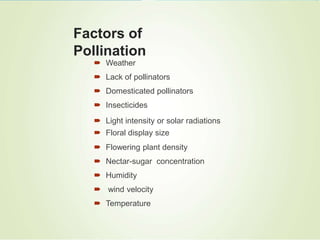 Fruit pollination | PPTX