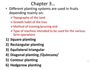 Fruit ppt for Horti.pptyfddtfhutfdedwded | PPT