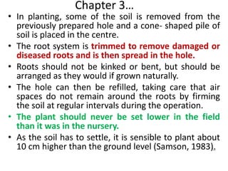 Kinked Roots Fruit ppt for Horti.pptyfddtfhutfdedwded | PPT