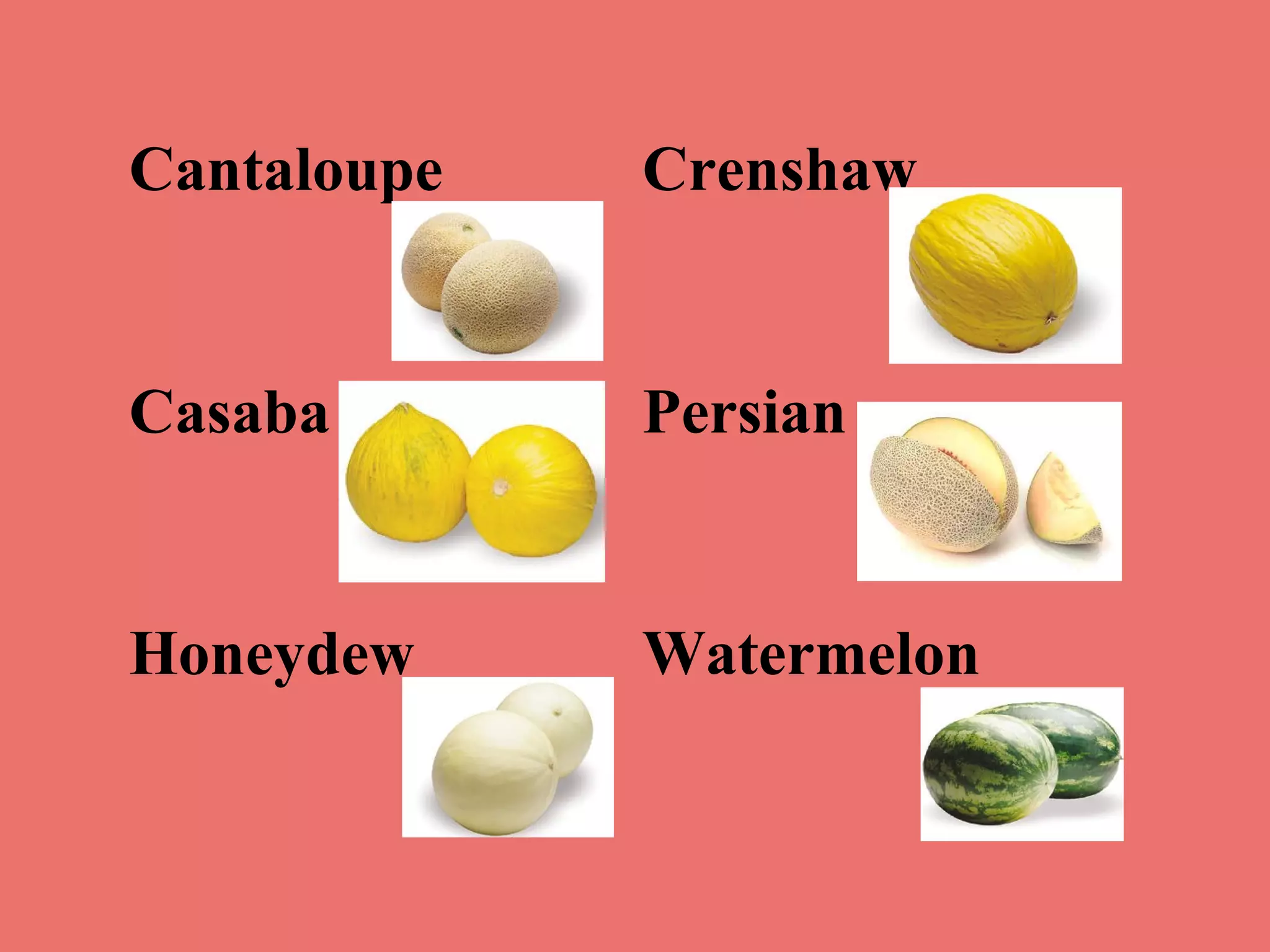 Cantaloupe

Crenshaw

Casaba

Persian

Honeydew

Watermelon

 