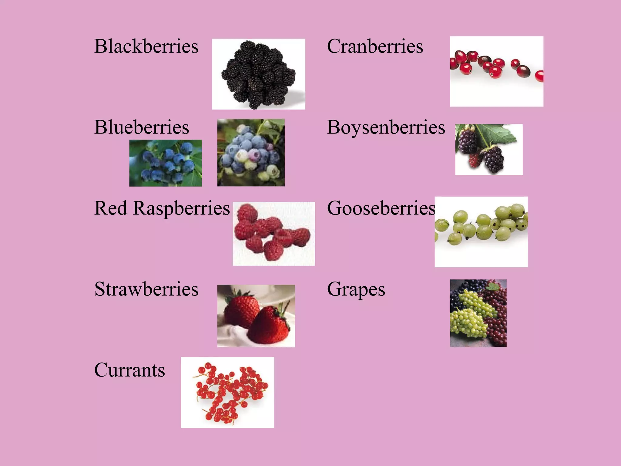 Blackberries

Cranberries

Blueberries

Boysenberries

Red Raspberries

Gooseberries

Strawberries

Grapes

Currants

 