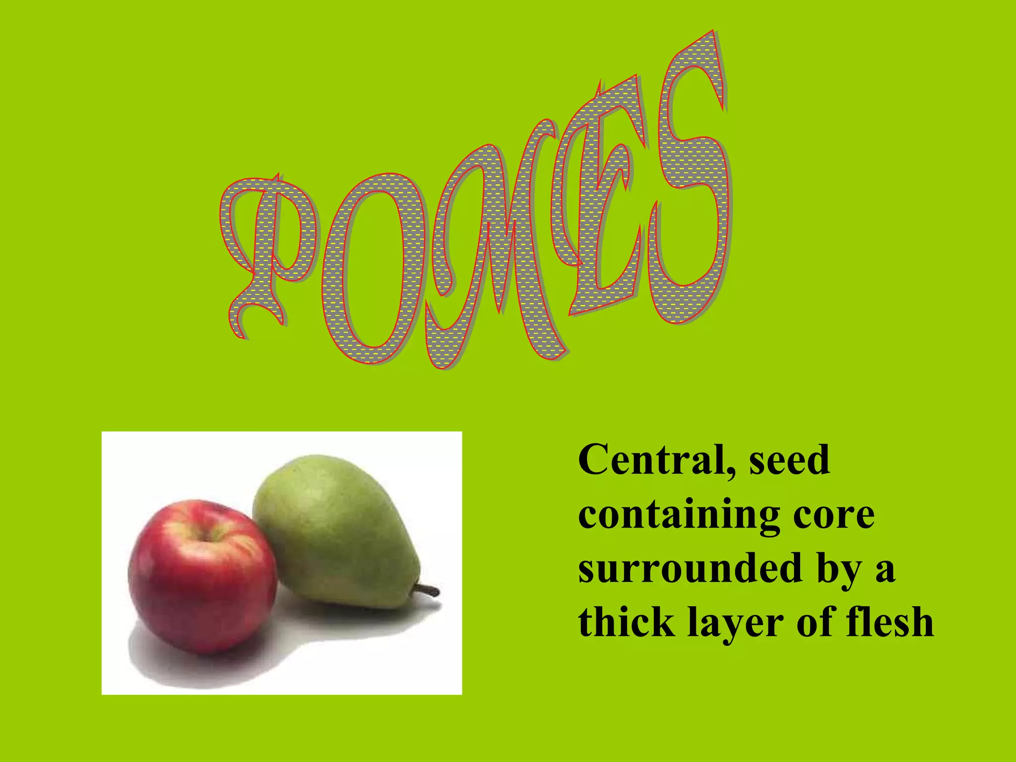 Central, seed
containing core
surrounded by a
thick layer of flesh

 