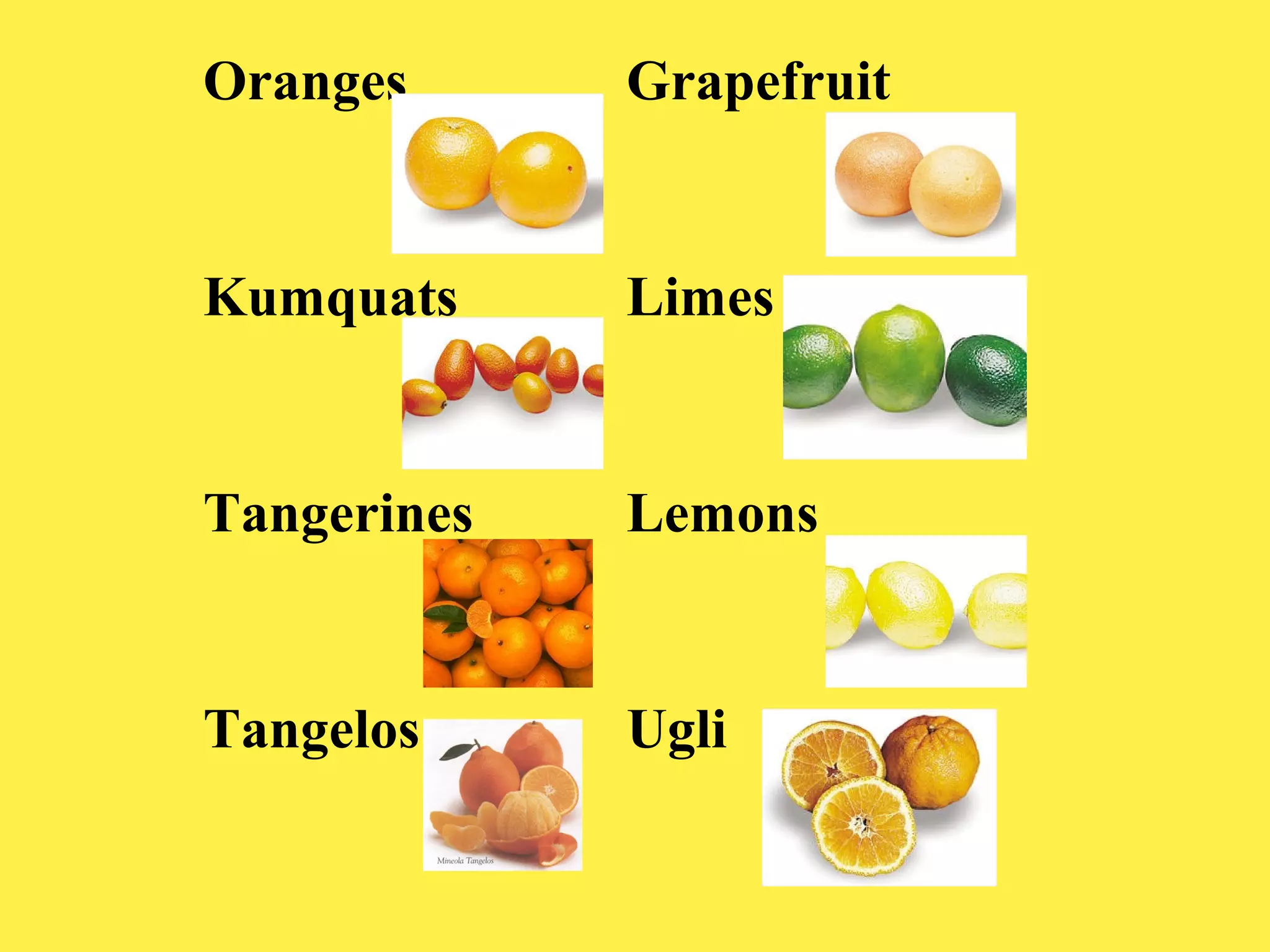Oranges

Grapefruit

Kumquats

Limes

Tangerines

Lemons

Tangelos

Ugli

 
