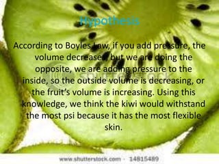 HypothesisAccording to Boyles Law, if you add pressure, the volume decreases, but we are doing the opposite, we are adding pressure to the inside, so the outside volume is decreasing, or the fruit’s volume is increasing. Using this knowledge, we think the kiwi would withstand the most psi because it has the most flexible skin.