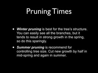 Fruit+pruning+powerpoint+copy.pdf for pruning of fruit trees | PDF