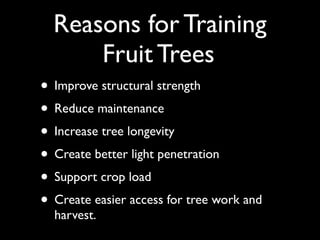 Fruit+pruning+powerpoint+copy.pdf for pruning of fruit trees | PDF