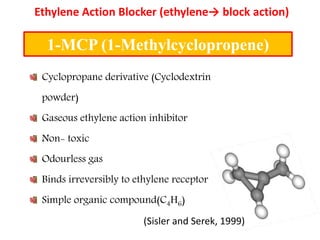 1-MCP Mode of Action
32
• Works by tightly binding to the ethylene receptor site in fruit
tissues, thereby blocking the ef...