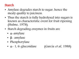 Starch
• Amylase degrades starch to sugar, hence the
mealy quality to juiciness.
• Thus the starch is fully hydrolysed int...