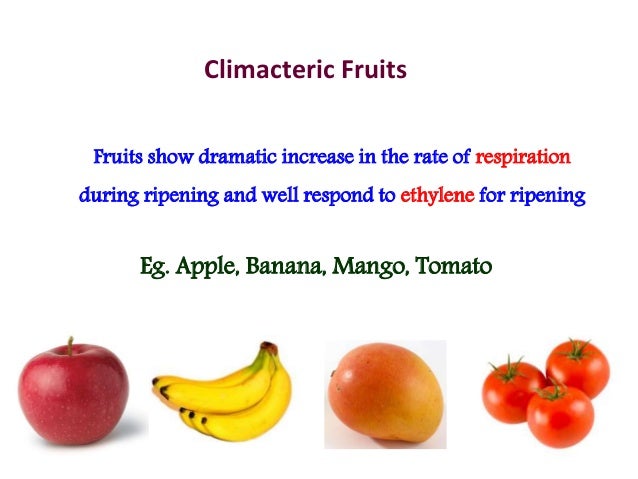 Tomato Ripening Chart