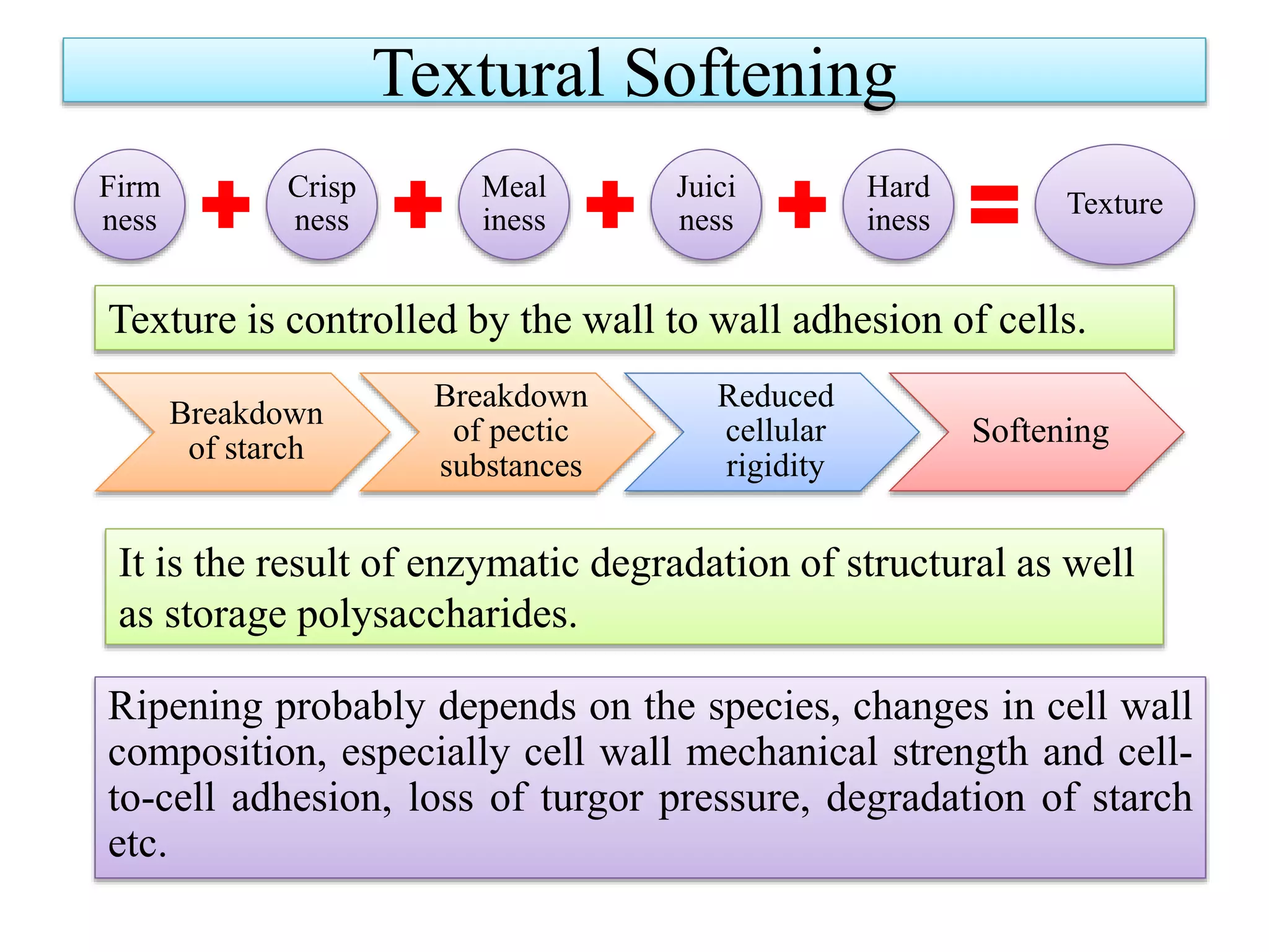 Mechanism of Fruit ripening | PPTX