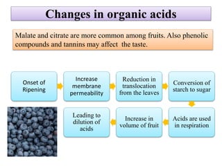 Mechanism of Fruit ripening | PPTX
