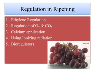 Mechanism of Fruit ripening | PPTX