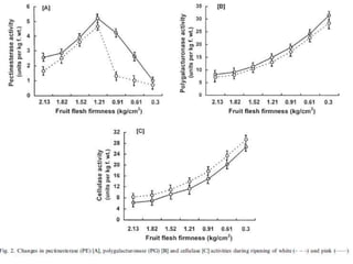 Mechanism of Fruit ripening | PPTX