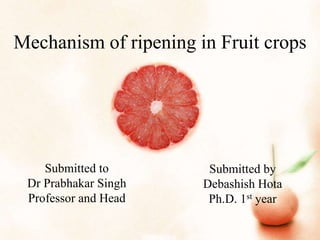 Mechanism of ripening in Fruit crops
Submitted to
Dr Prabhakar Singh
Professor and Head
Submitted by
Debashish Hota
Ph.D. 1st year
 