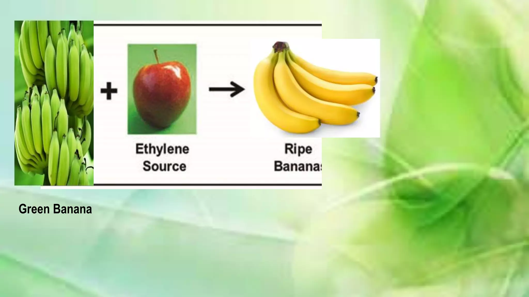 Fruit Ripening and Changes occurring during Ripening | PPTX