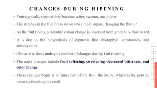 Organic and Artificial fruit Ripening | PPTX