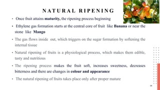 Organic and Artificial fruit Ripening | PPTX