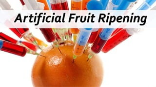 Organic and Artificial fruit Ripening | PPTX