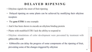 Organic and Artificial fruit Ripening | PPTX