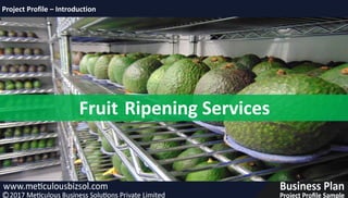 Fruit Ripening Services
Project Profile – Introduction
 