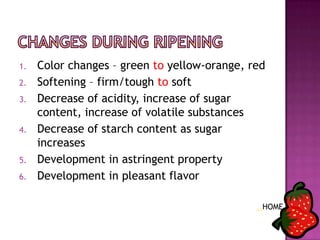 Fruits | PPTX