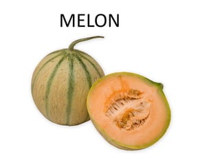 MELON
 