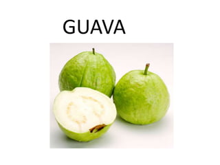 GUAVA
 