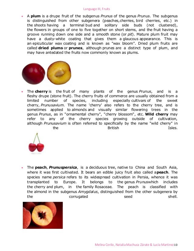 Classification of fruits